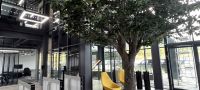Modernes Bürointerieur mit einem großen künstlichen Baum, gelben Sitzmöbeln, Glaswänden und Sicherheitsdrehkreuzen.