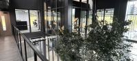 Modernes Bürogebäude mit künstlichem Baum und Treppenhaus eingeglast